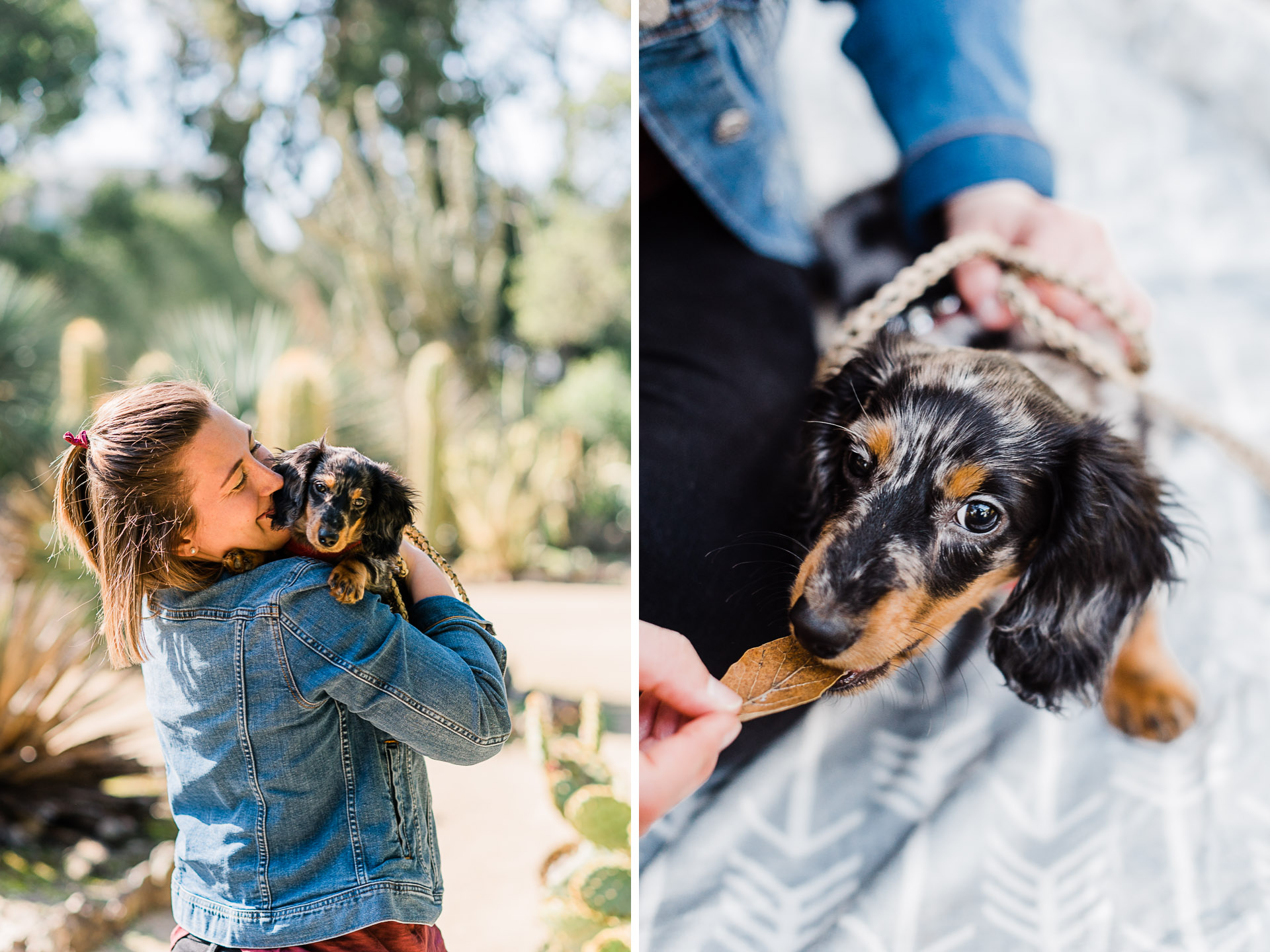 Pet portraits of a long haired Dachshund puppy and his owner
