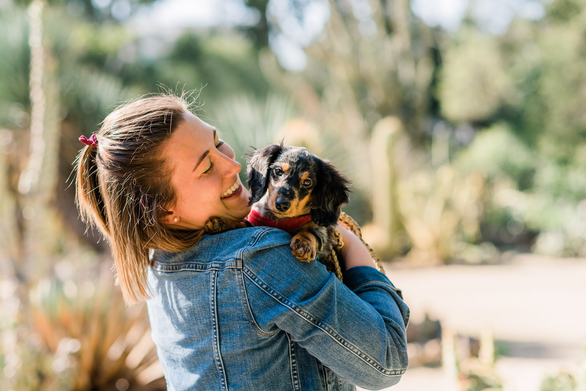 Pet portrait of a long haired Dachshund puppy and his owner