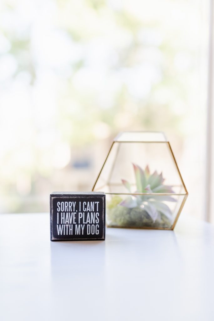 A desk decoration that reads, "Sorry I can't, I have plans with my dog."