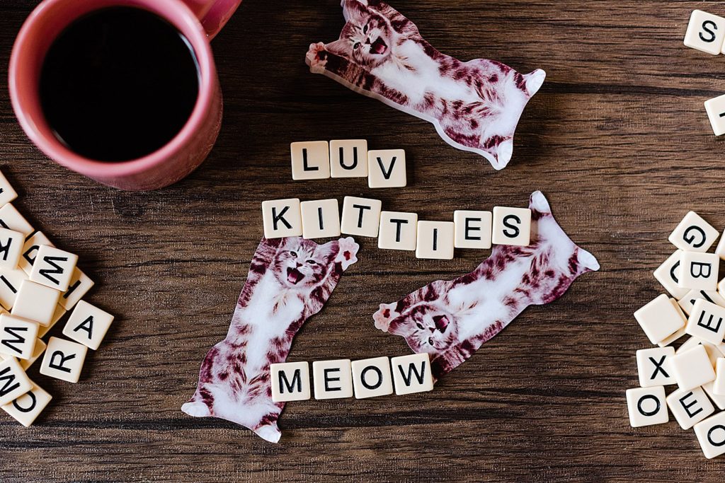 there's white letter tiles all around the frame with the words "luv kitties" and "meow" spelled out in the middle. there are a few scattered cat notepad and a pink mug with black coffee in it